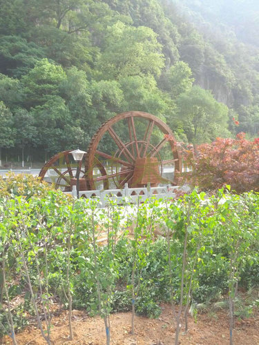 浙江金華7m5m景觀水車